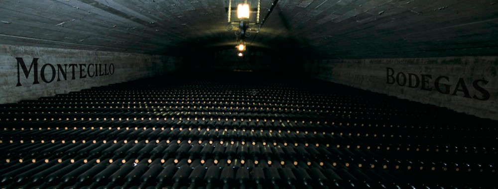 BotelleroManualMontecillo